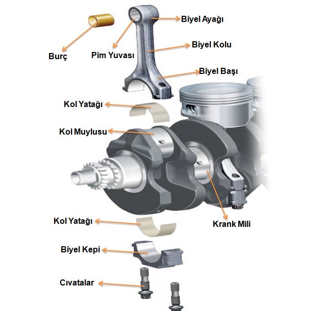 Biyel Kolu Nedir Ne İşe Yarar? Biyel Kolunun Parçaları Kısımları Yapısı ve Özellikleri